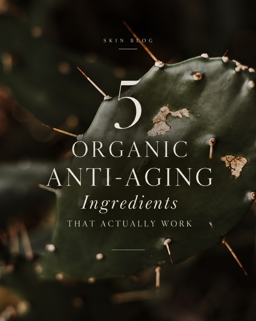 5 Organic Anti-Aging Ingredients That Actually Work (Backed by Science)