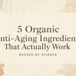 5 Organic Anti-Aging Ingredients That Actually Work (Backed by Science)